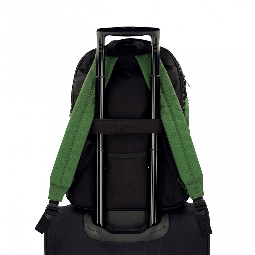 Zwei Fächer Adept Fox.