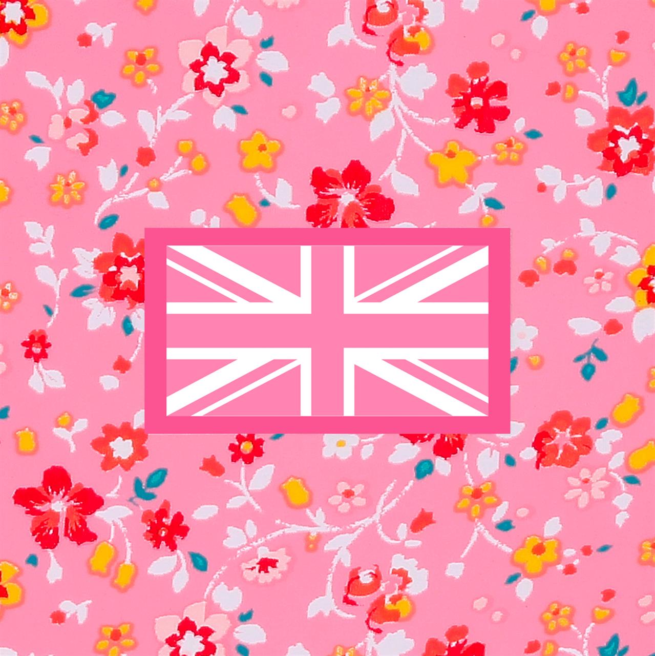 6711723 TROLLEY ABS 55CM. 4r. PJL Alenka Rosa