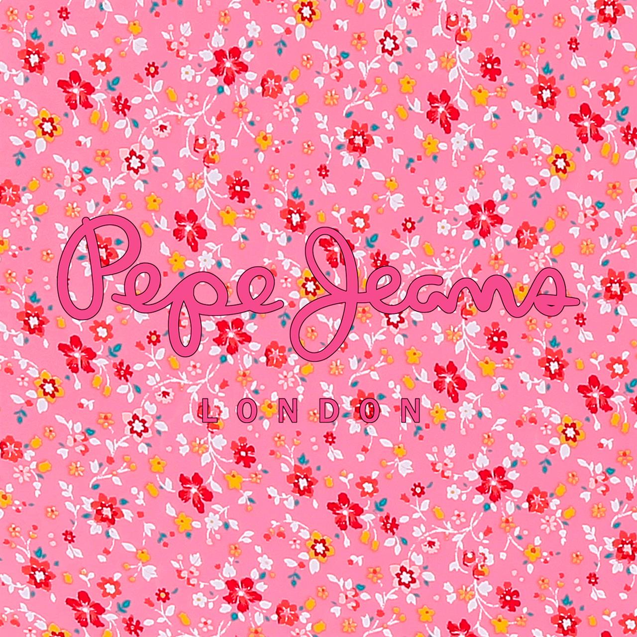 6711923 SET/2 TROLLEY ABS 55-68CM. 4r. PJL Alenka Rosa