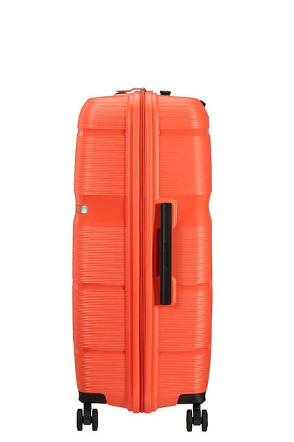 Linex de American Tourister Spinner Grande taille