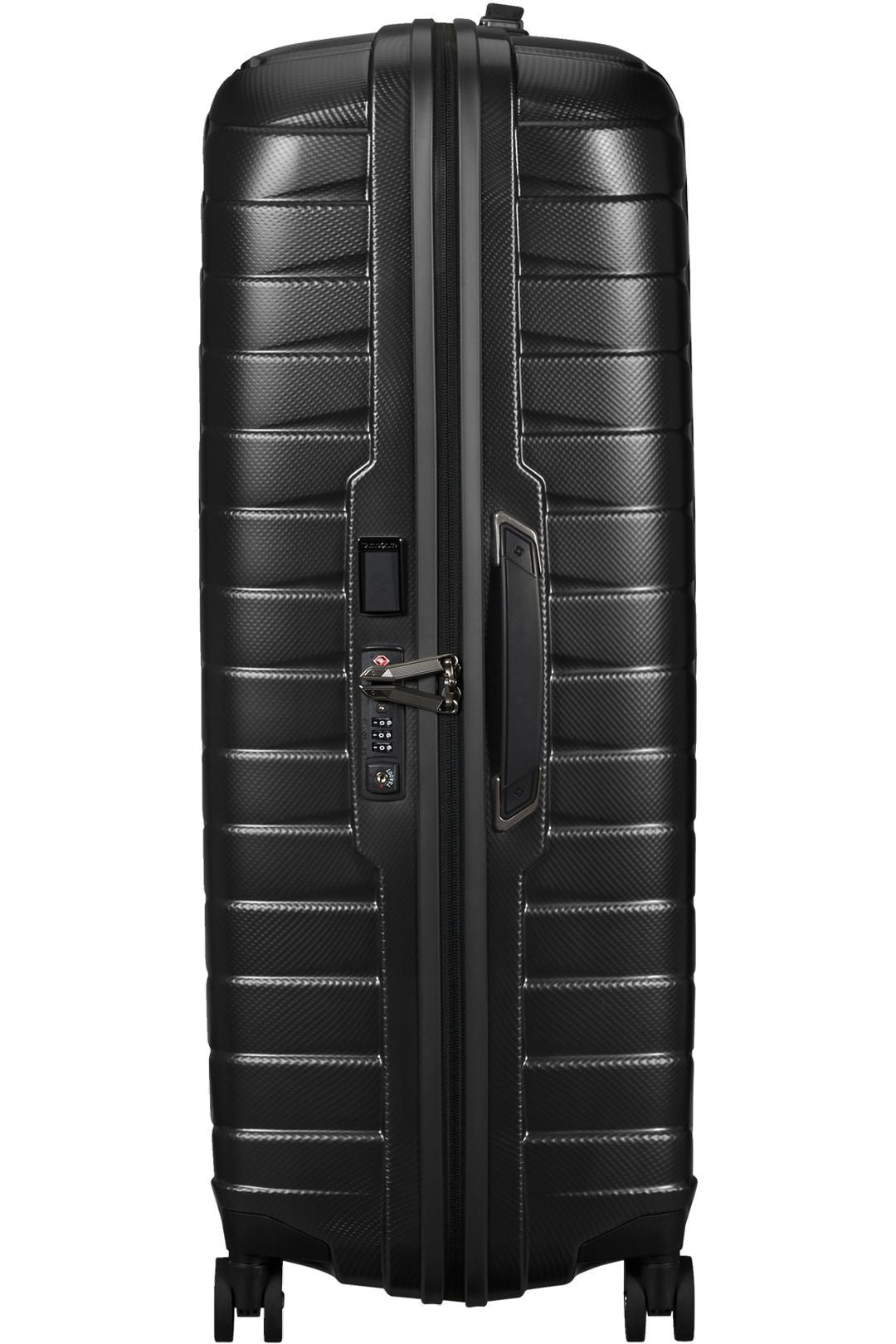 Large Large PROXIS 81CM Manufactured with Roxkin