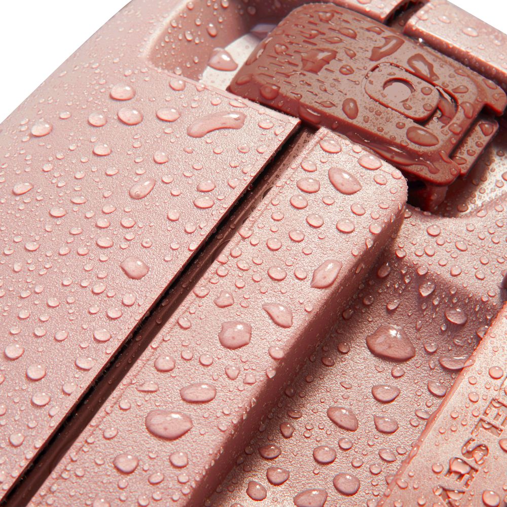 DELSEY MONCEY. TROLLEY CABINE 4 DUBBELE WIELEN 55CM