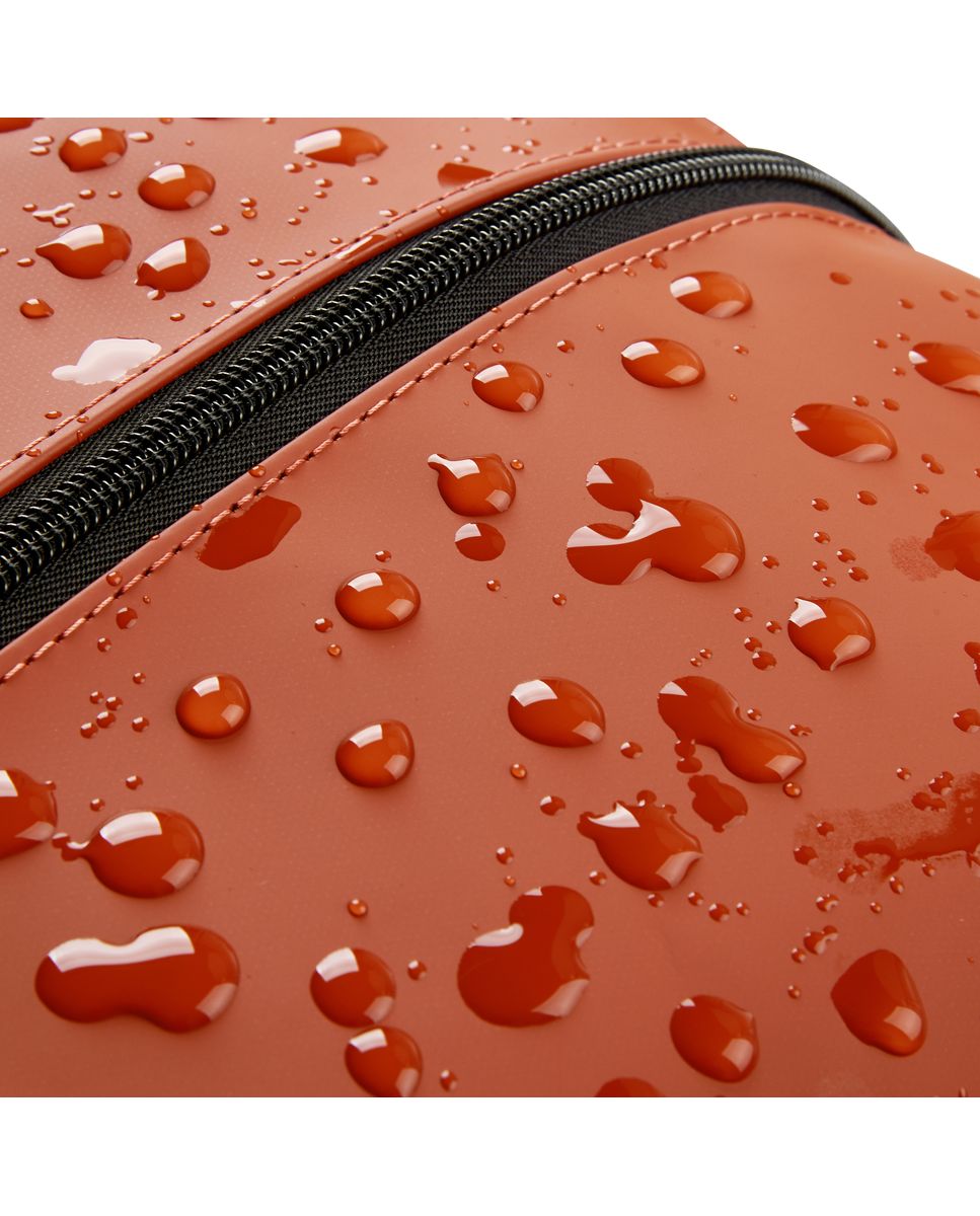 DELSEY TURENNE MIĘKKI. BOLSA KABINA PODRÓŻNA