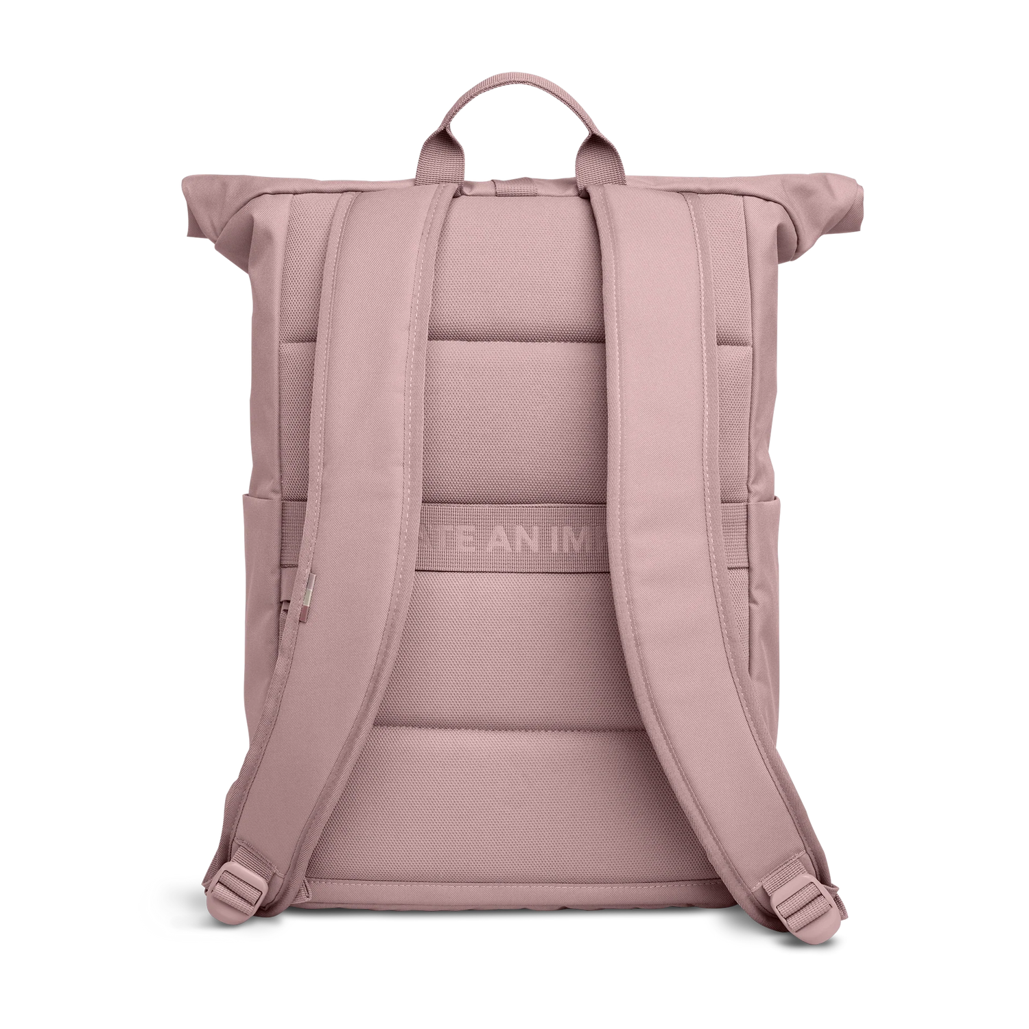 Ich habe Taschen -Rucksack ROLLTOP Einfach monochrom