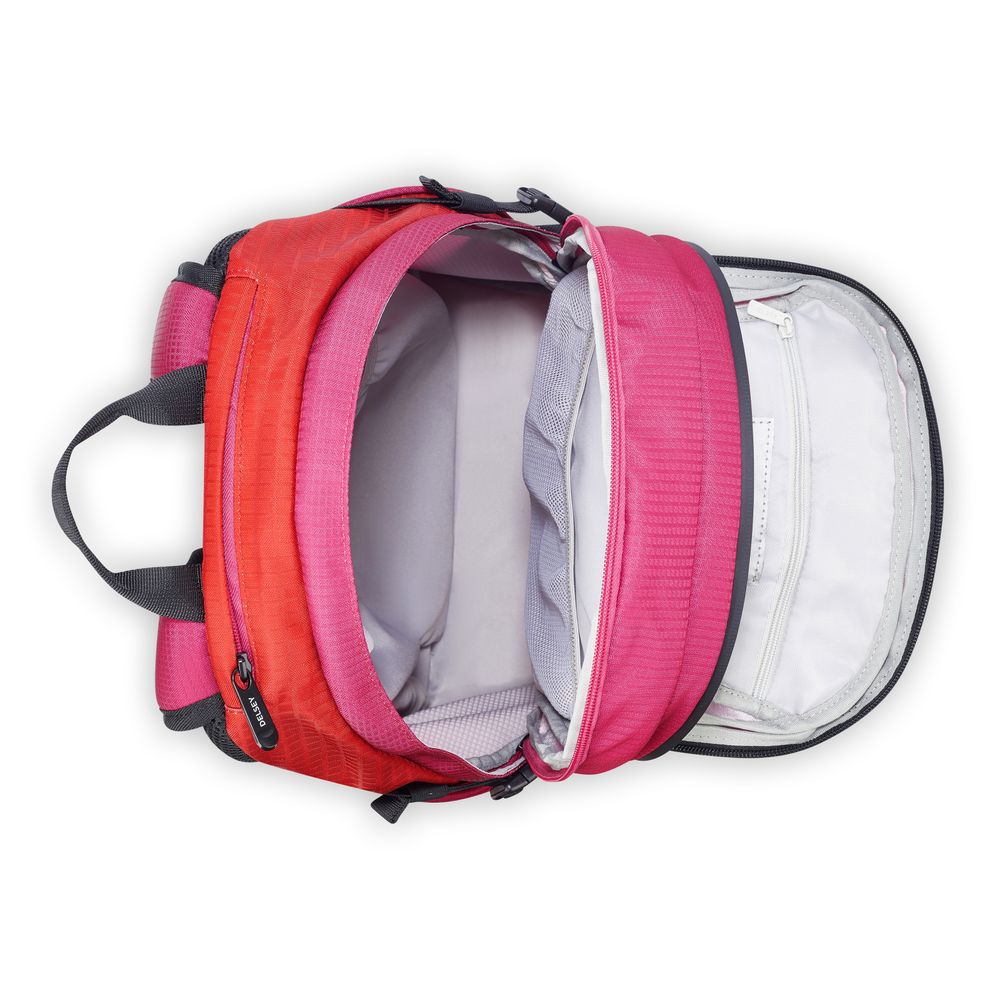 DELSEY NOMADE-RUCKSACK MIT BRUST- UND HÜFTGRIFF