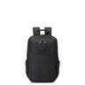 DELSEY PARVIS PLUS MOCHILA 2 COMPARTIMENTOS - PROTECCIÓN PC 13,3"