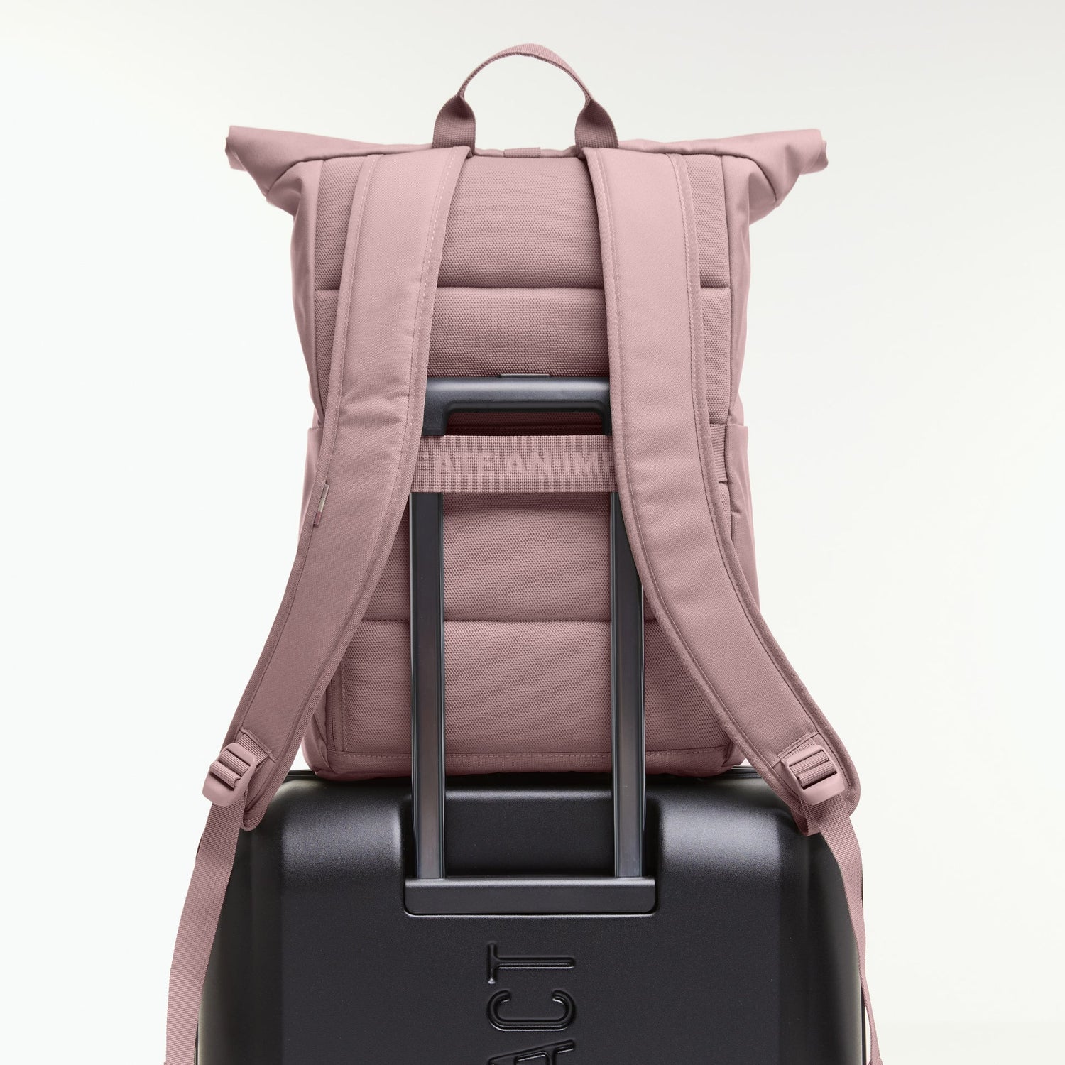 Ich habe Taschen -Rucksack ROLLTOP Einfach monochrom